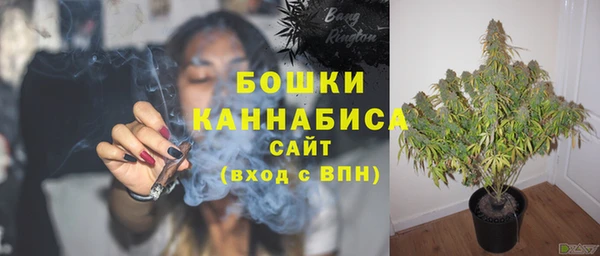 PSILOCYBIN Медногорск
