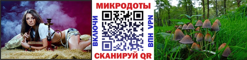 Псилоцибиновые грибы прущие грибы  купить   Нерчинск 